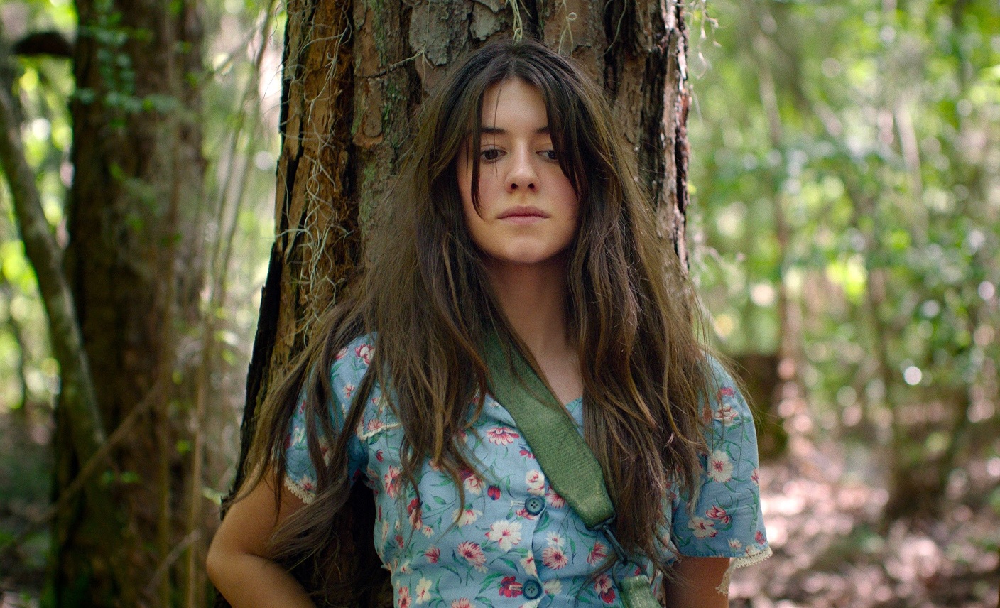 「ザリガニの鳴くところ」湿地帯で暮らす孤独な少女の驚異のサバイバル・サスペンス

