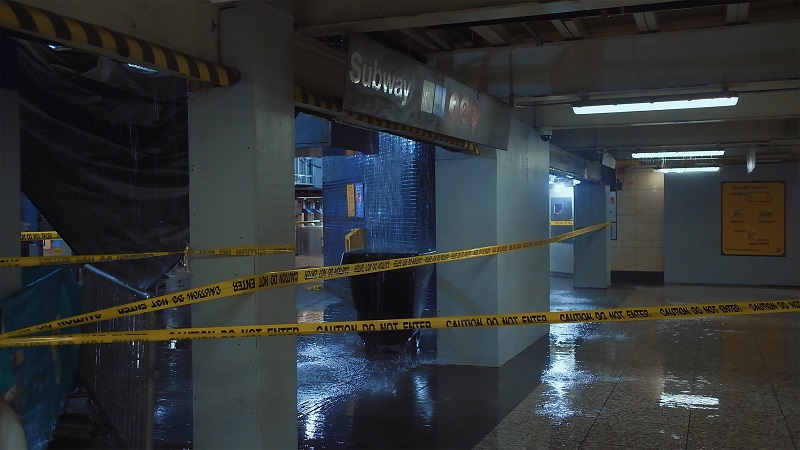 牡蠣を巡るクィアなドキュメンタリー「水の中で息をする ―彼女でも彼でもなく―」メインビジュアル、場面写真解禁