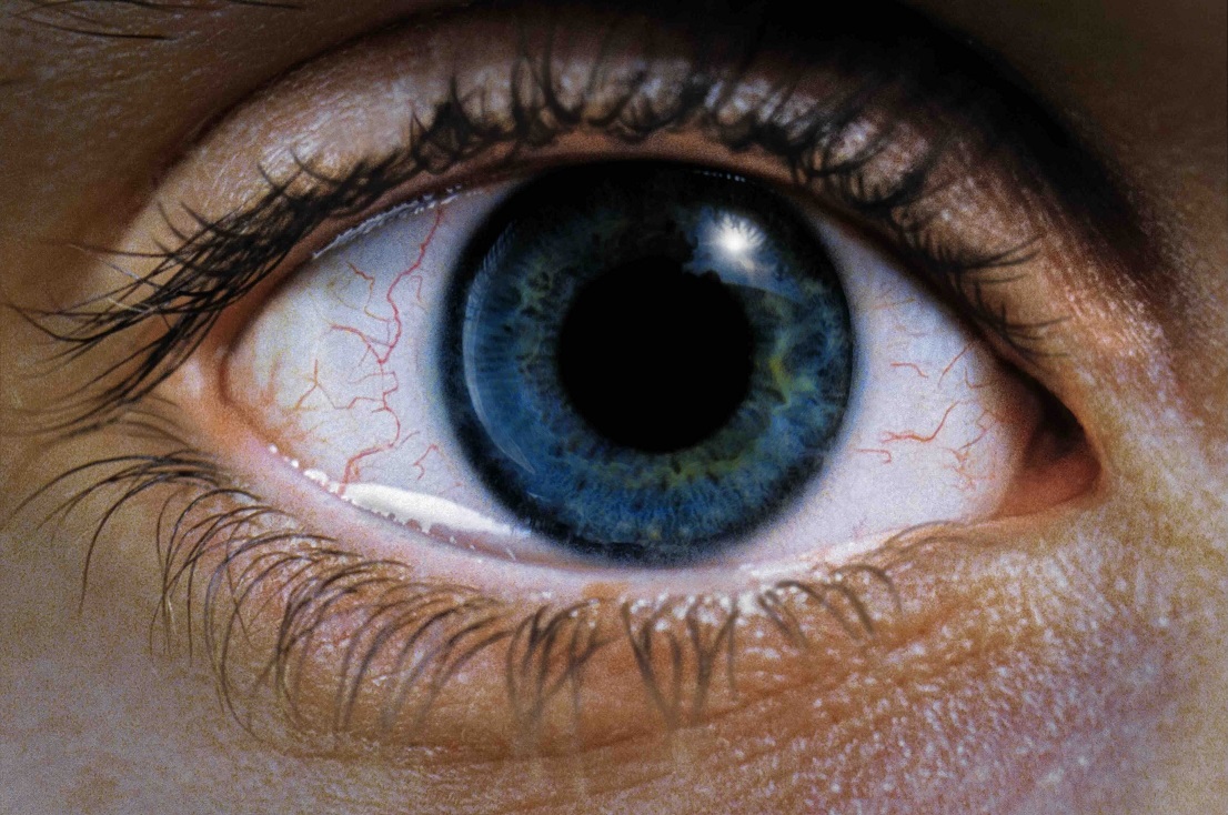 「レクイエム・フォー・ドリーム 4K リマスター」⻤才ダーレン・アロノフスキーがドラッグ依存症の地獄を描く衝撃作