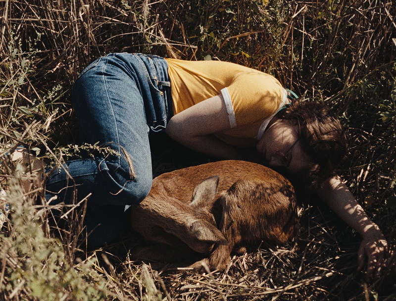 映画「落下音」4つの異なる時代を生きる4人の少女たちが、同じ土地で体験する不可解な出来事 アカデミー賞ドイツ代表、カンヌ審査員賞受賞